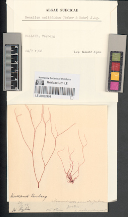 LE A0002404