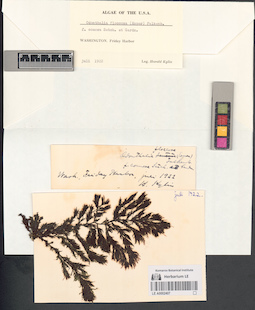 LE A0002407