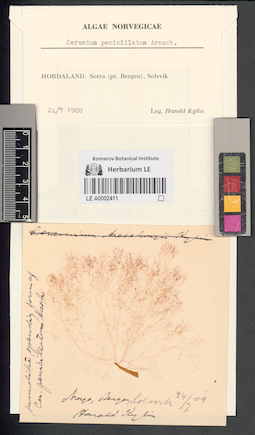 LE A0002411
