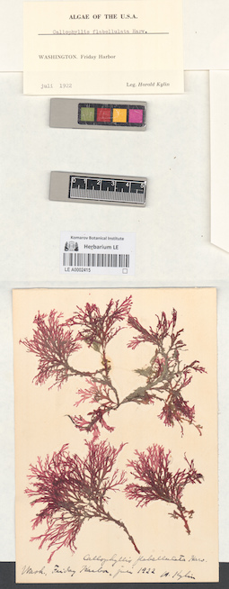 LE A0002415