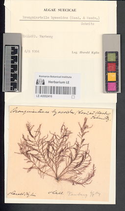 LE A0002416