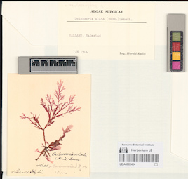 LE A0002424