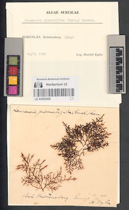 LE A0002428