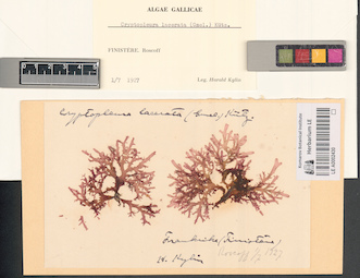 LE A0002430