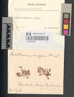 LE A0002434