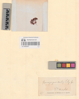 LE A0002437
