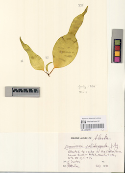 LE A0002448