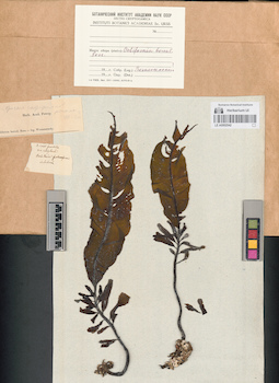 LE A0002542