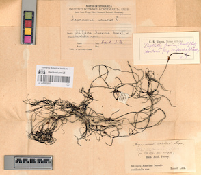 LE A0002547