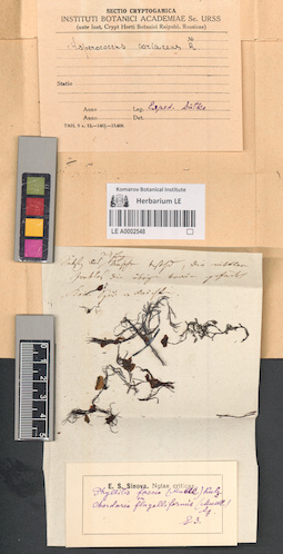 LE A0002548