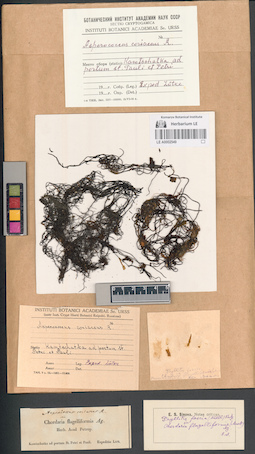 LE A0002549