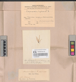 LE A0002550