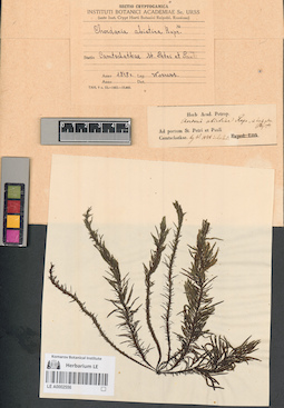 LE A0002556