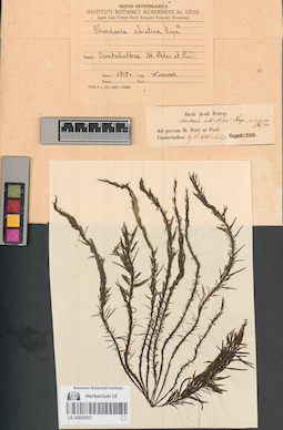 LE A0002557