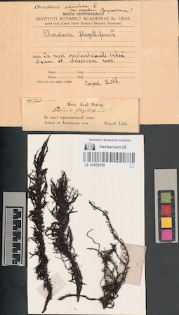 LE A0002558
