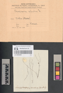 LE A0002559