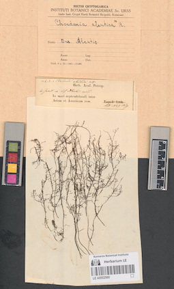 LE A0002560