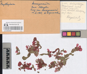 LE A0002801