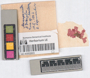 LE A0002803