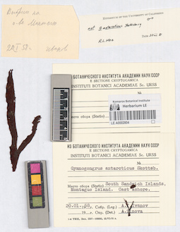 LE A0002804