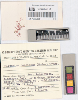 LE A0002805