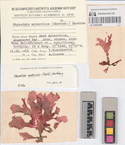 LE A0002808