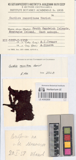 LE A0002809