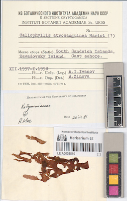 LE A0002810