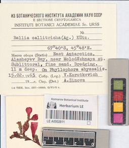 LE A0002811