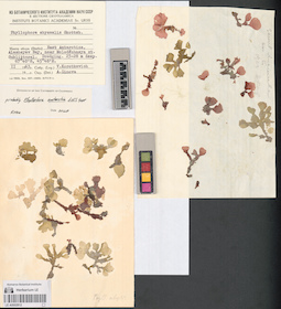 LE A0002812