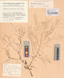 LE A0002817