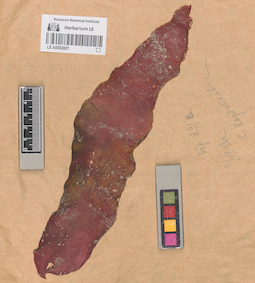 LE A0002821