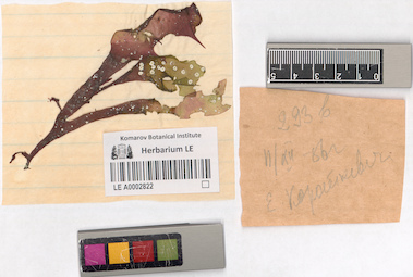 LE A0002822