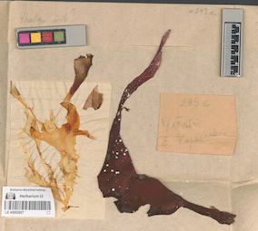 LE A0002827