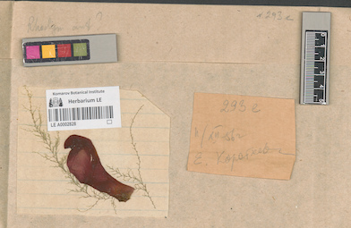 LE A0002828