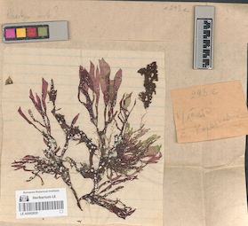 LE A0002830