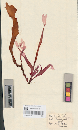 LE A0002836