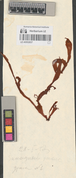 LE A0002837