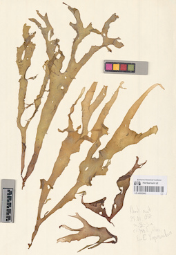LE A0002843