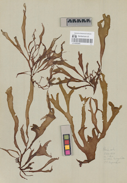 LE A0002845