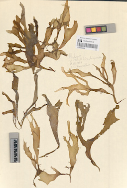 LE A0002846