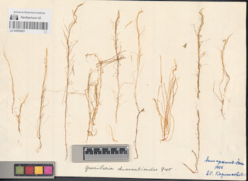 LE A0002851