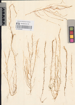 LE A0002852