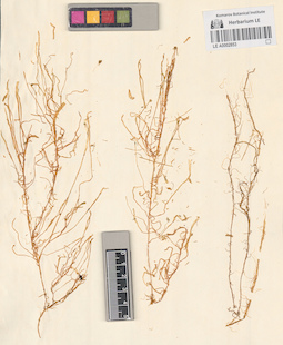 LE A0002853