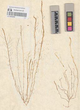 LE A0002856