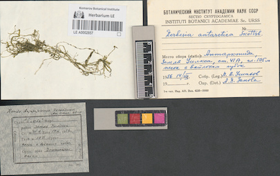 LE A0002857