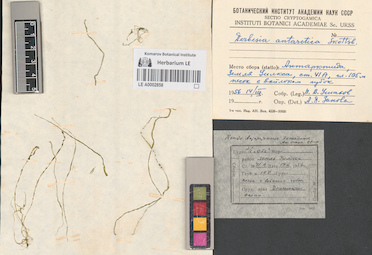 LE A0002858