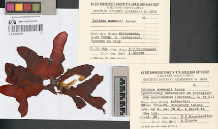 LE A0002862
