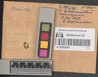 LE A0002864