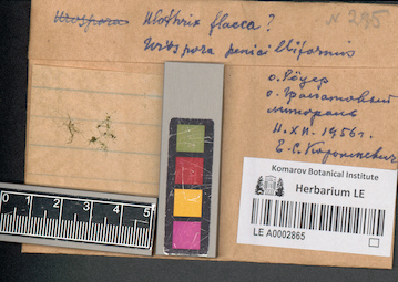 LE A0002865